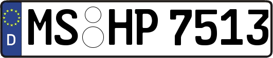 MS-HP7513