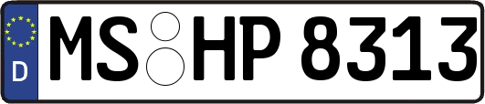 MS-HP8313