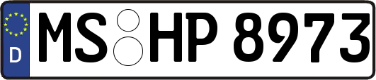 MS-HP8973