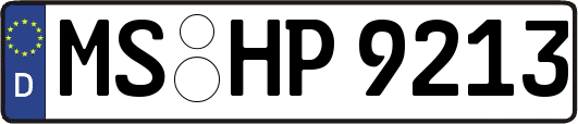 MS-HP9213