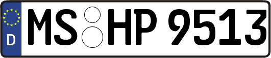 MS-HP9513