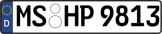 MS-HP9813