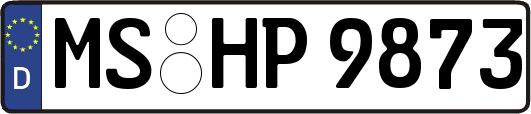 MS-HP9873