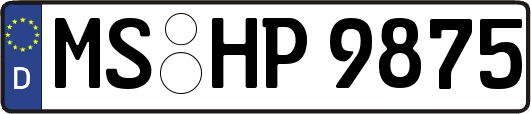 MS-HP9875