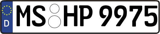 MS-HP9975
