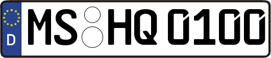 MS-HQ0100