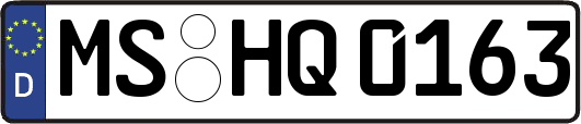 MS-HQ0163
