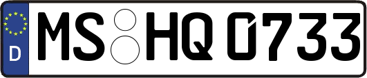 MS-HQ0733