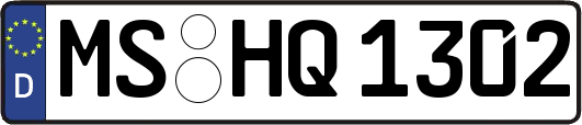 MS-HQ1302