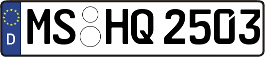 MS-HQ2503