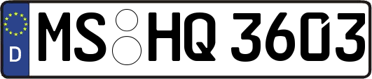 MS-HQ3603