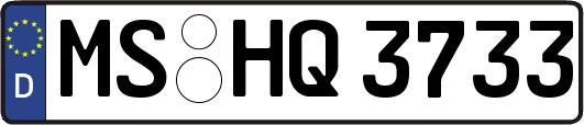 MS-HQ3733