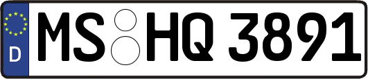 MS-HQ3891