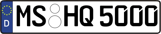 MS-HQ5000