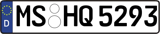 MS-HQ5293