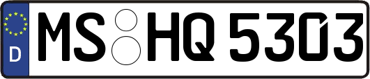 MS-HQ5303