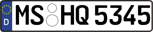 MS-HQ5345