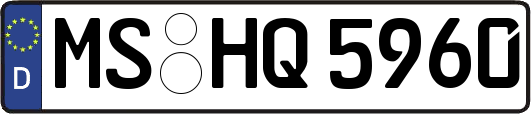 MS-HQ5960