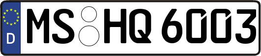 MS-HQ6003