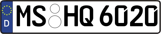 MS-HQ6020