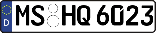 MS-HQ6023