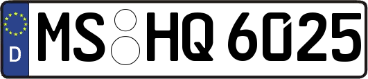MS-HQ6025