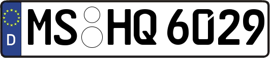 MS-HQ6029