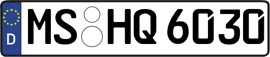 MS-HQ6030