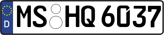 MS-HQ6037