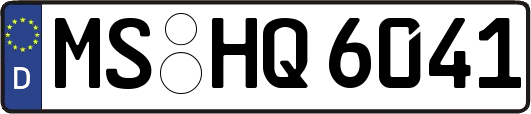 MS-HQ6041