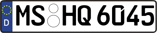 MS-HQ6045