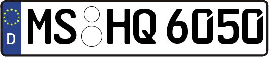 MS-HQ6050