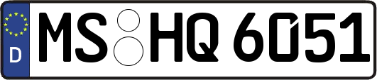 MS-HQ6051