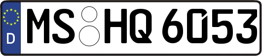 MS-HQ6053