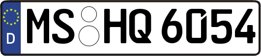 MS-HQ6054