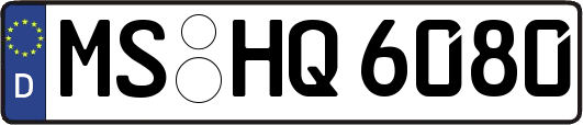 MS-HQ6080