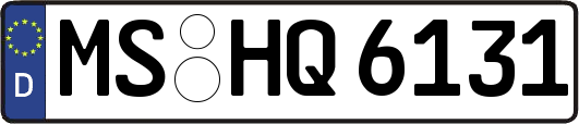 MS-HQ6131