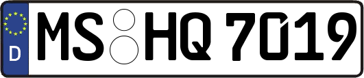 MS-HQ7019