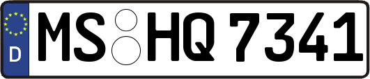 MS-HQ7341