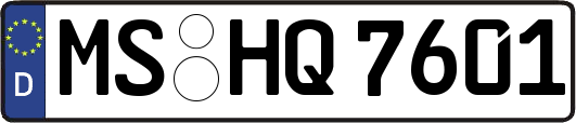 MS-HQ7601