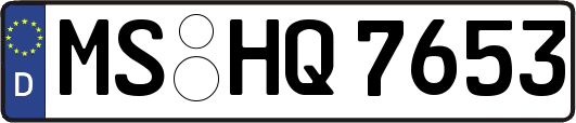 MS-HQ7653