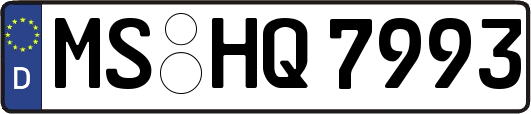 MS-HQ7993