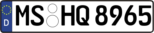 MS-HQ8965