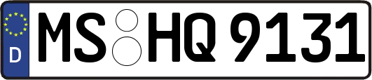 MS-HQ9131