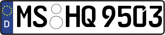 MS-HQ9503