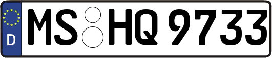 MS-HQ9733
