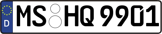 MS-HQ9901