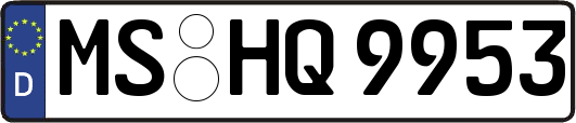 MS-HQ9953