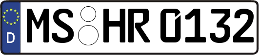 MS-HR0132