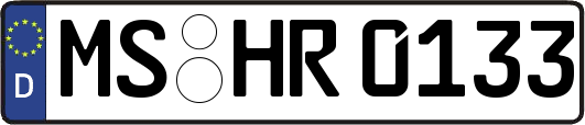 MS-HR0133